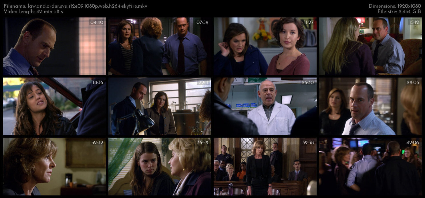 Law And Order SVU S12E09 1080p WEB H264 SKYFiRE TGx