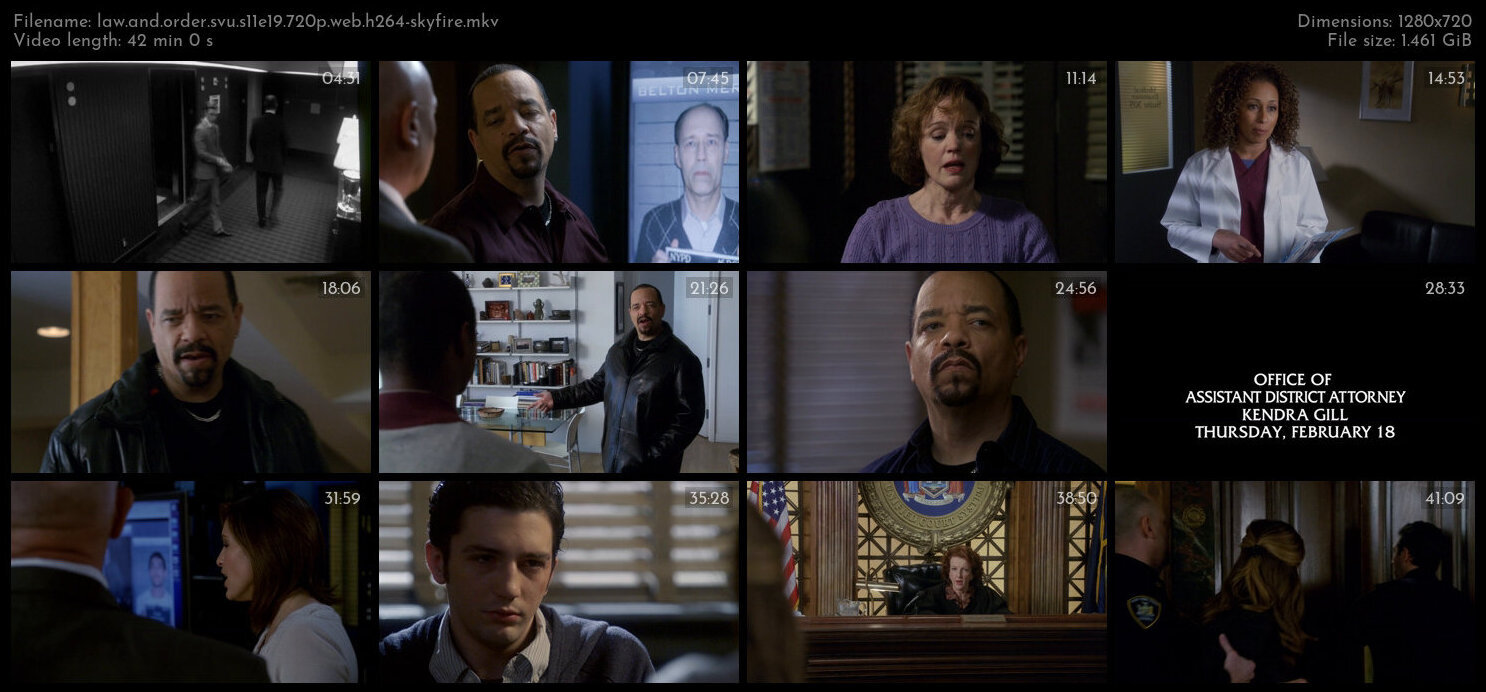 Law And Order SVU S11E19 720p WEB H264 SKYFiRE TGx