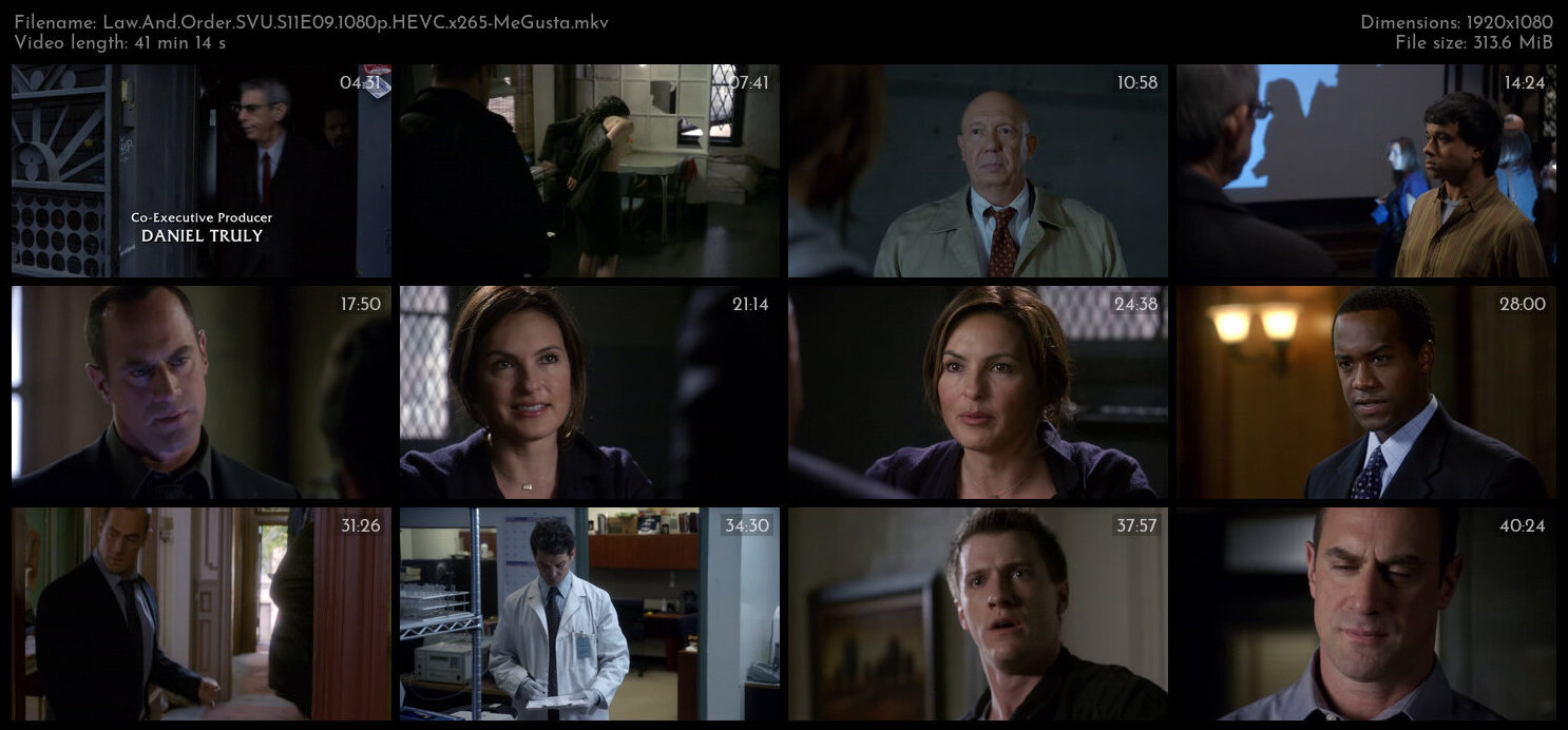 Law And Order SVU S11E09 1080p HEVC x265 MeGusta TGx