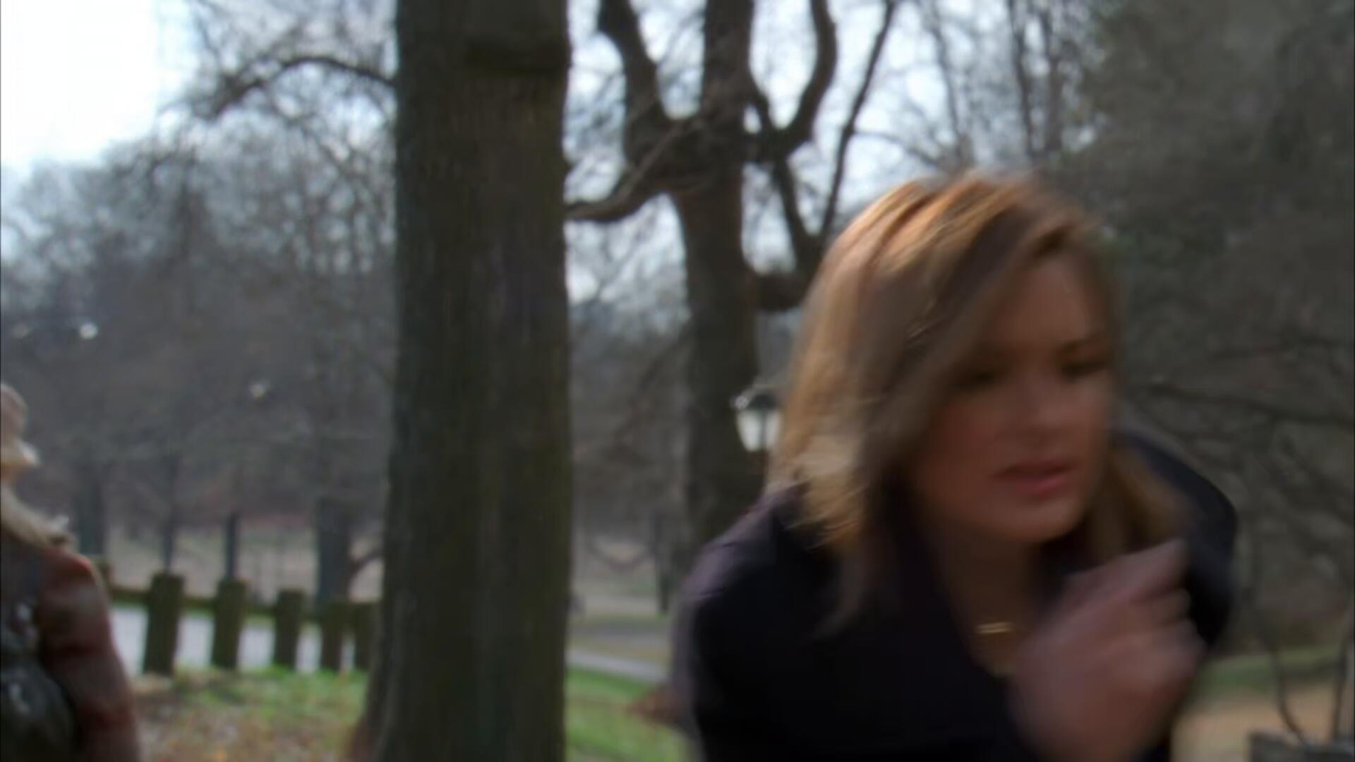 Law And Order SVU S10E13 1080p HEVC x265 MeGusta TGx