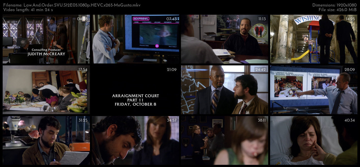 Law And Order SVU S12E05 1080p HEVC x265 MeGusta TGx