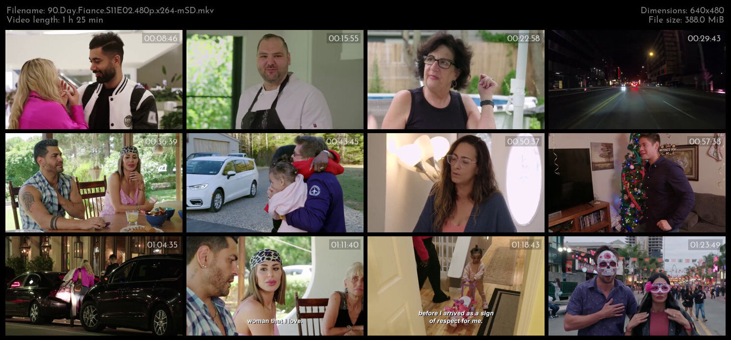 90 Day Fiance S11E02 480p x264 mSD TGx