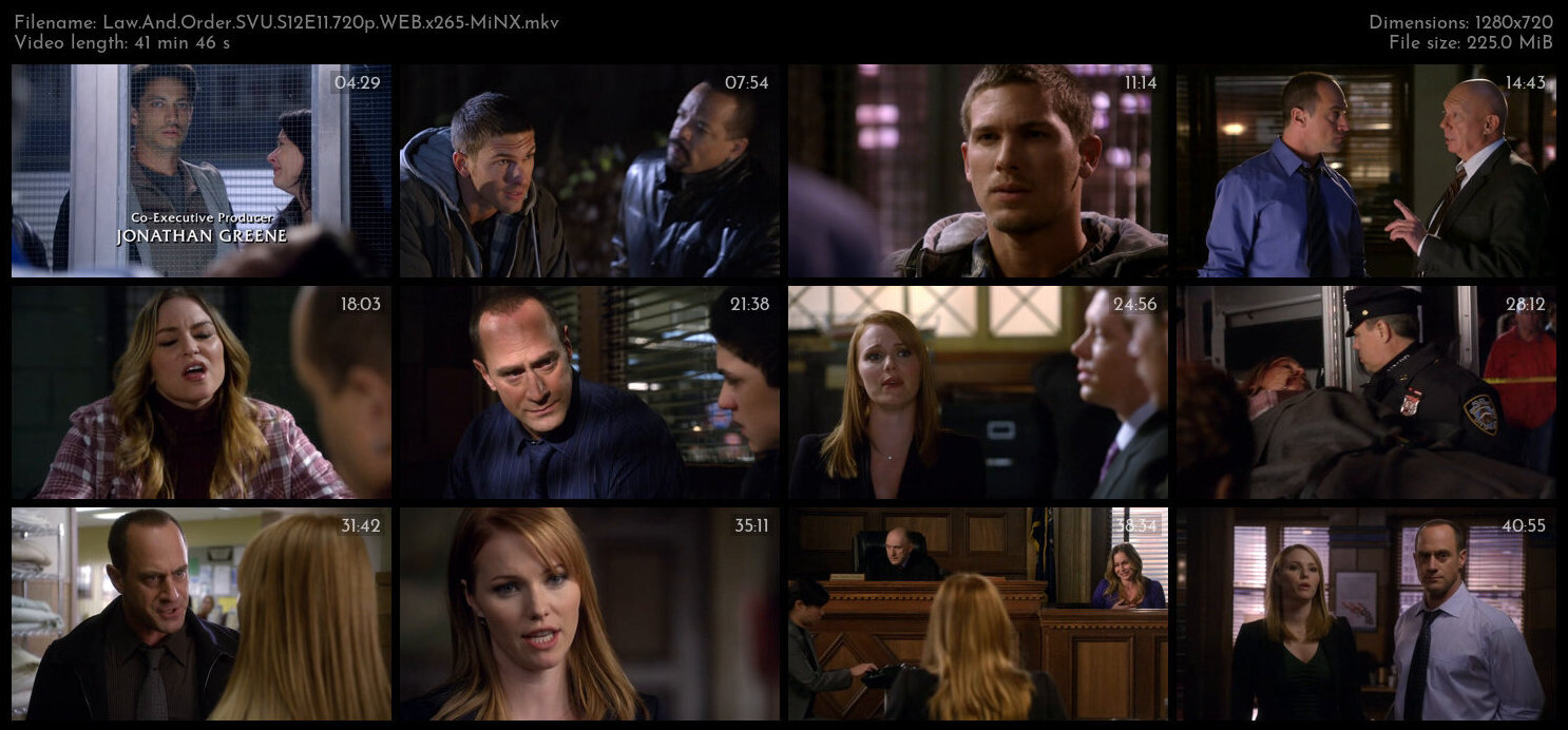 Law And Order SVU S12E11 720p WEB x265 MiNX TGx