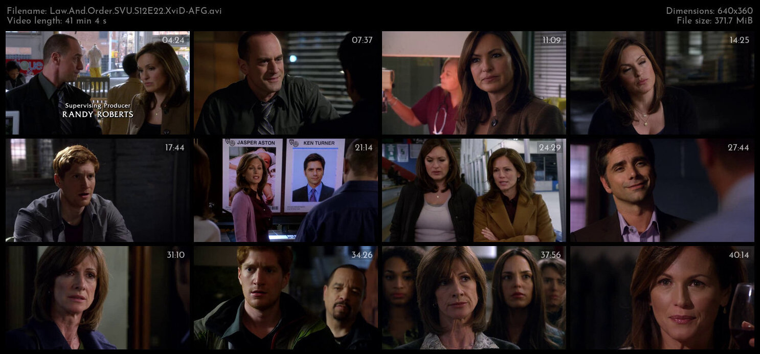 Law And Order SVU S12E22 XviD AFG TGx