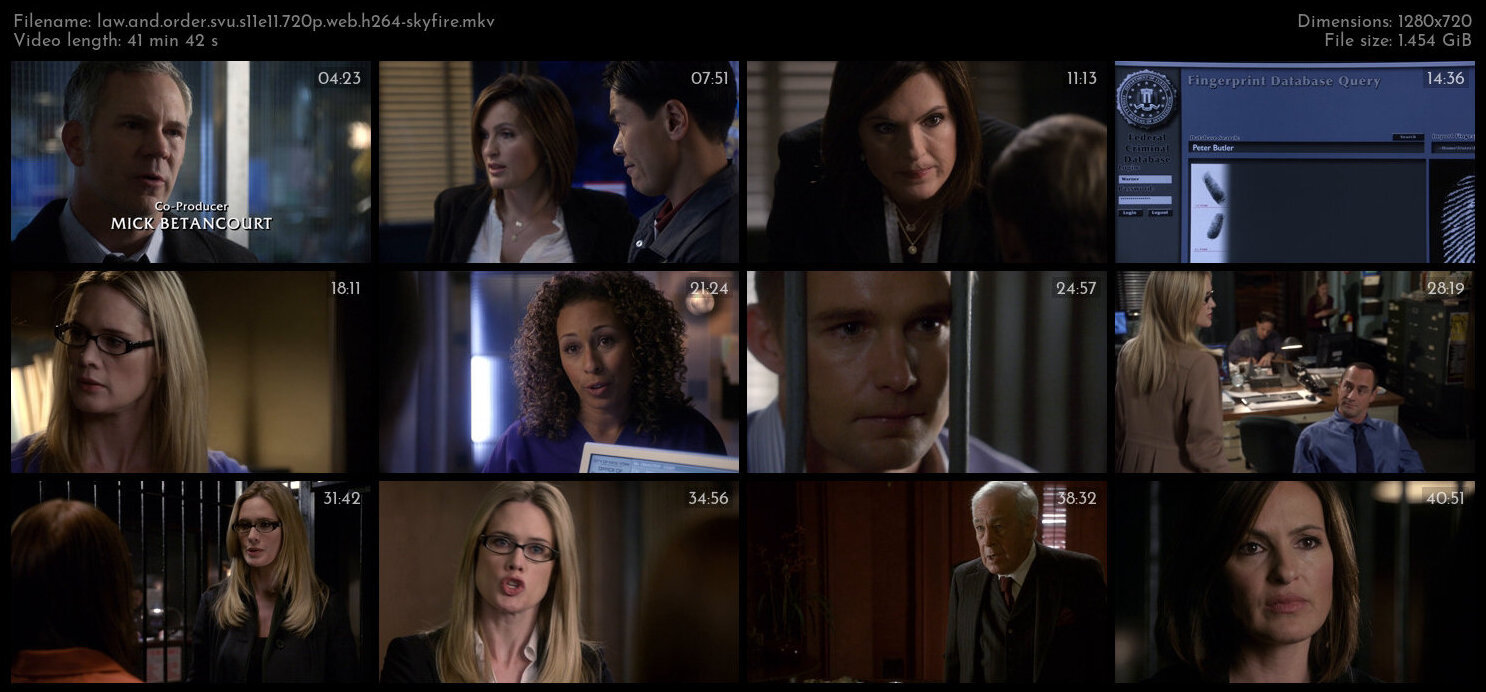 Law And Order SVU S11E11 720p WEB H264 SKYFiRE TGx