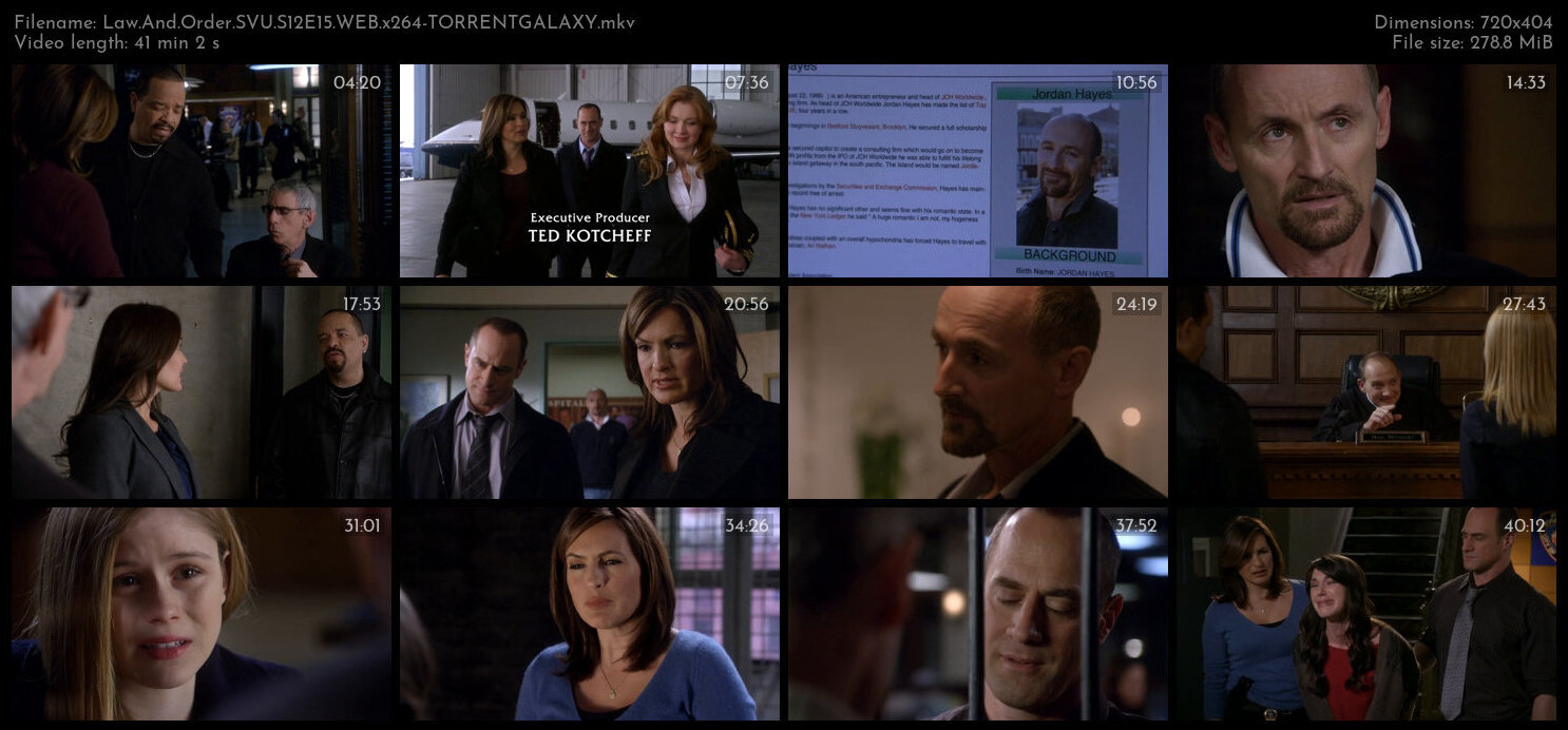 Law And Order SVU S12E15 WEB x264 TORRENTGALAXY