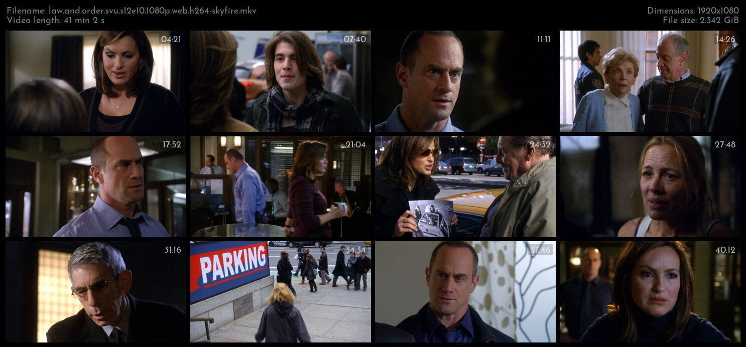 Law And Order SVU S12E10 1080p WEB H264 SKYFiRE TGx