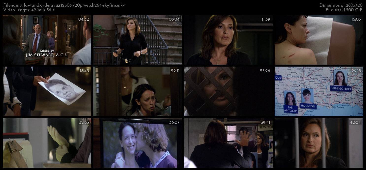 Law And Order SVU S12E03 720p WEB H264 SKYFiRE TGx