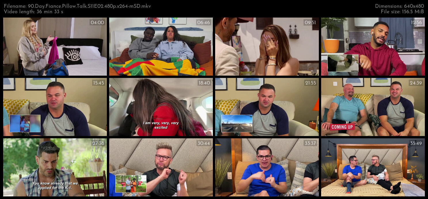 90 Day Fiance Pillow Talk S11E02 480p x264 mSD TGx