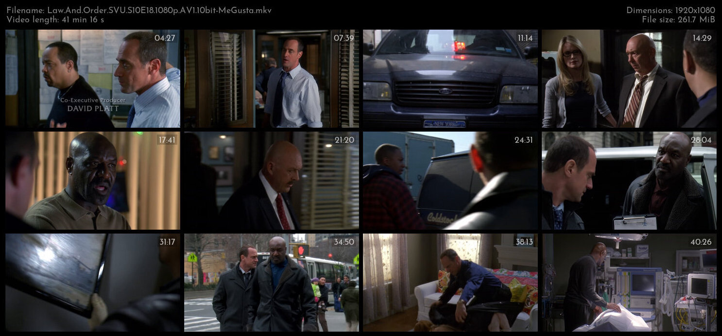 Law And Order SVU S10E18 1080p AV1 10bit MeGusta TGx