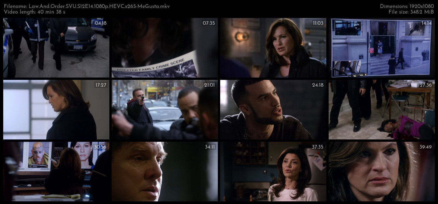 Law And Order SVU S12E14 1080p HEVC x265 MeGusta TGx