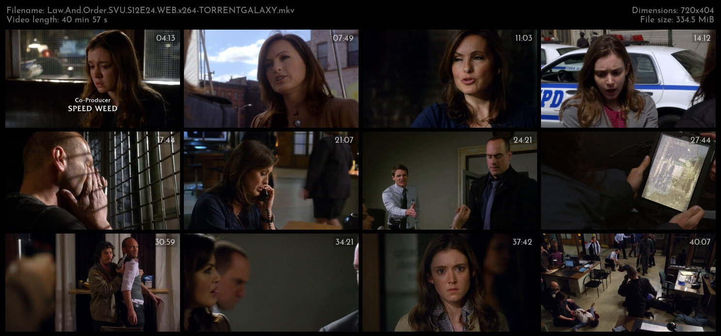 Law And Order SVU S12E24 WEB x264 TORRENTGALAXY