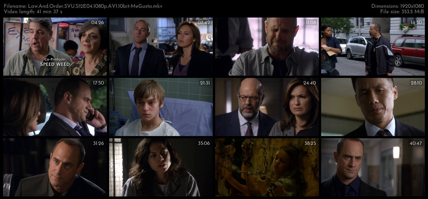 Law And Order SVU S12E04 1080p AV1 10bit MeGusta TGx