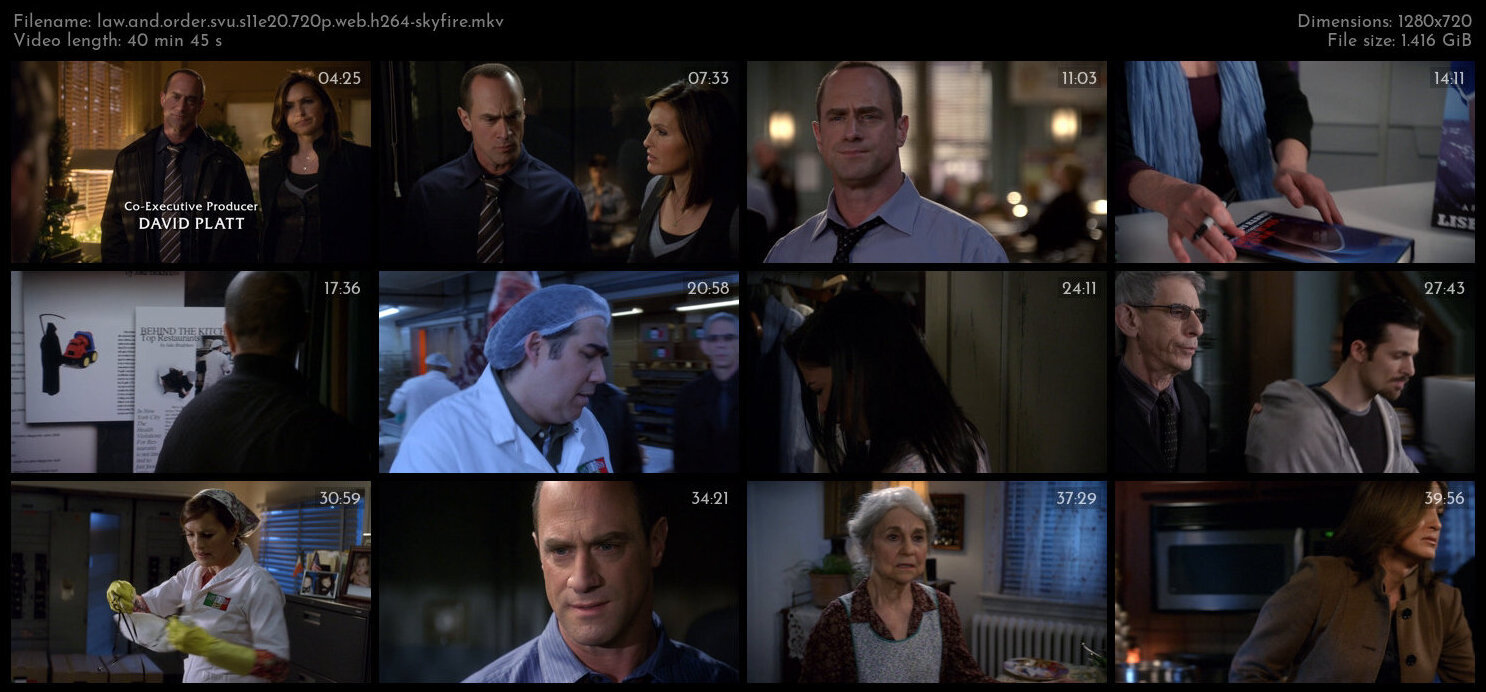 Law And Order SVU S11E20 720p WEB H264 SKYFiRE TGx