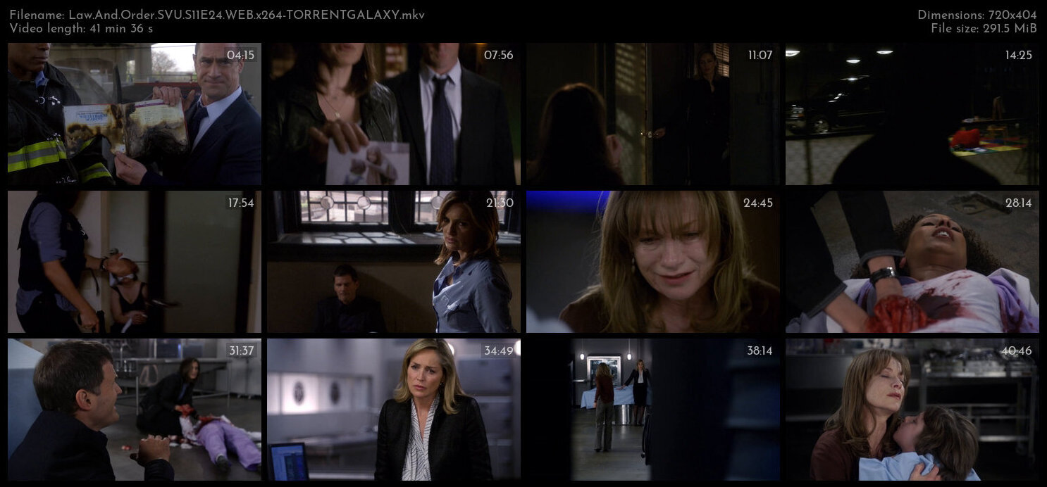 Law And Order SVU S11E24 WEB x264 TORRENTGALAXY