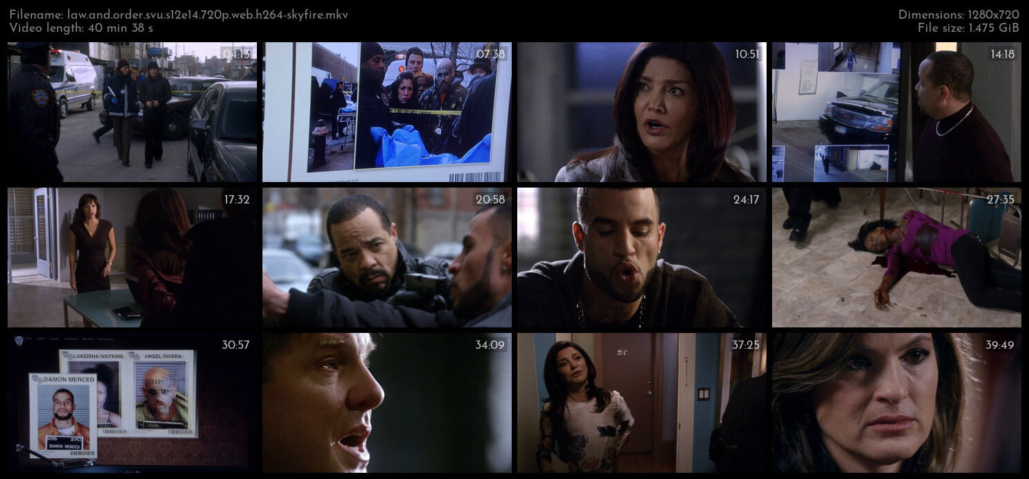 Law And Order SVU S12E14 720p WEB H264 SKYFiRE TGx