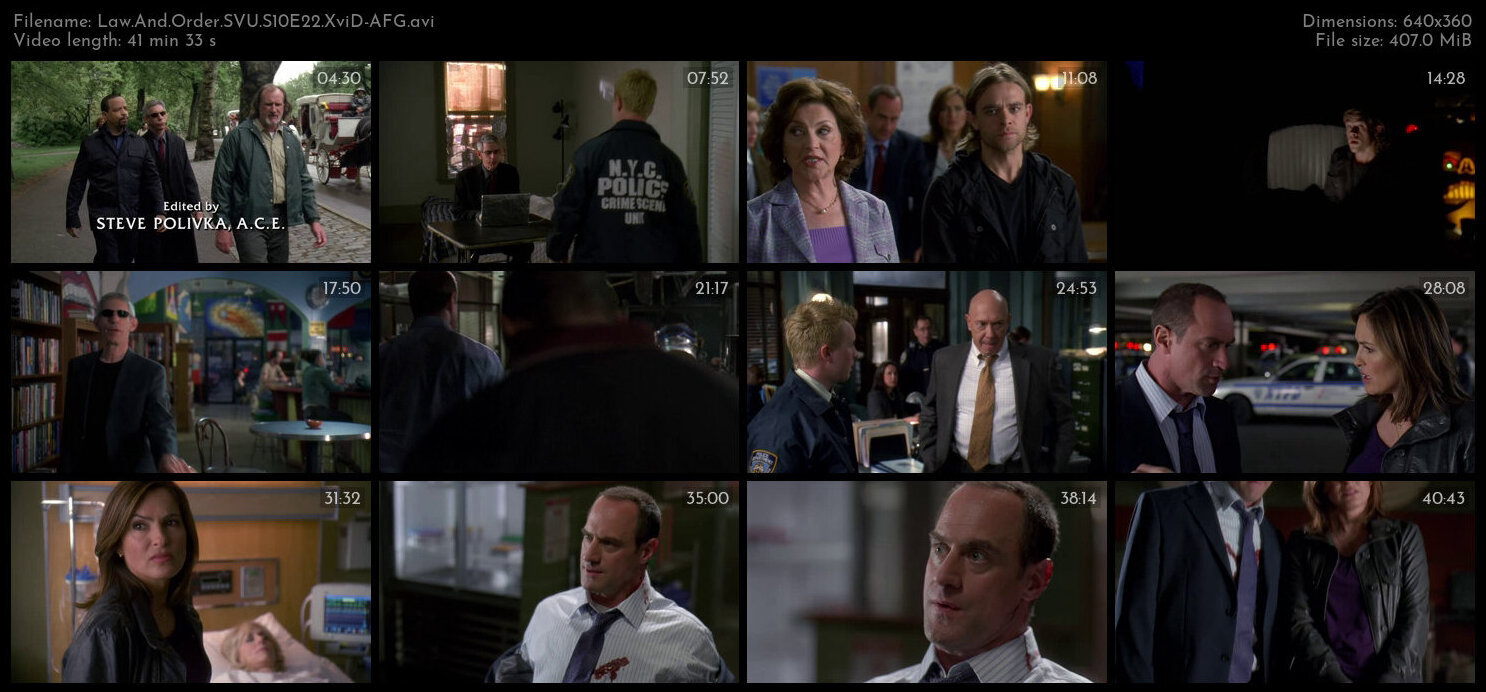 Law And Order SVU S10E22 XviD AFG TGx