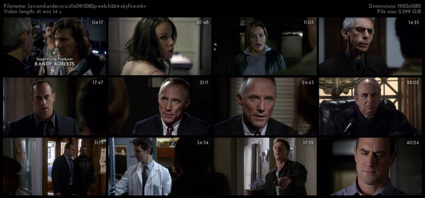 Law And Order SVU S11E09 1080p WEB H264 SKYFiRE TGx