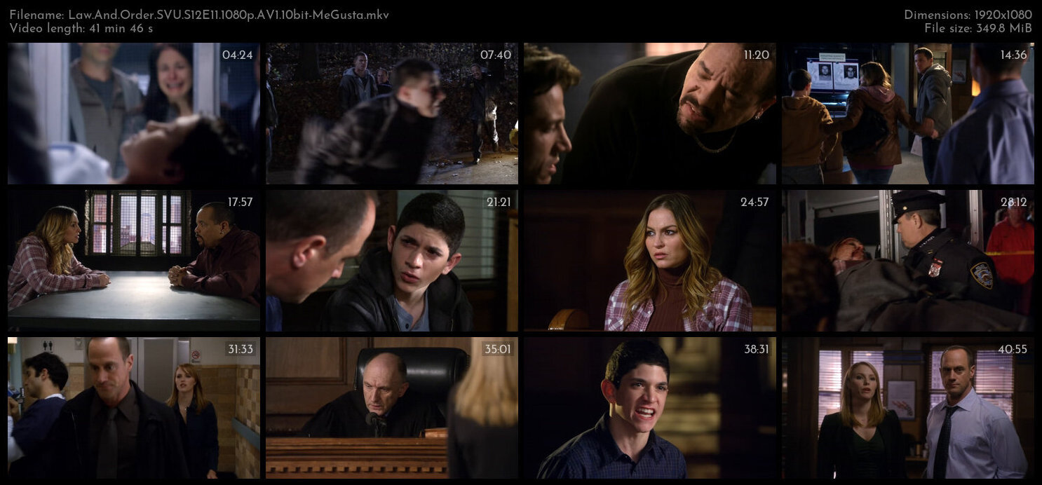 Law And Order SVU S12E11 1080p AV1 10bit MeGusta TGx