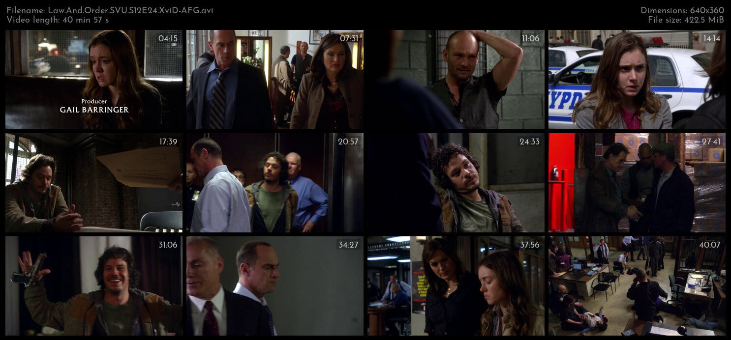 Law And Order SVU S12E24 XviD AFG TGx