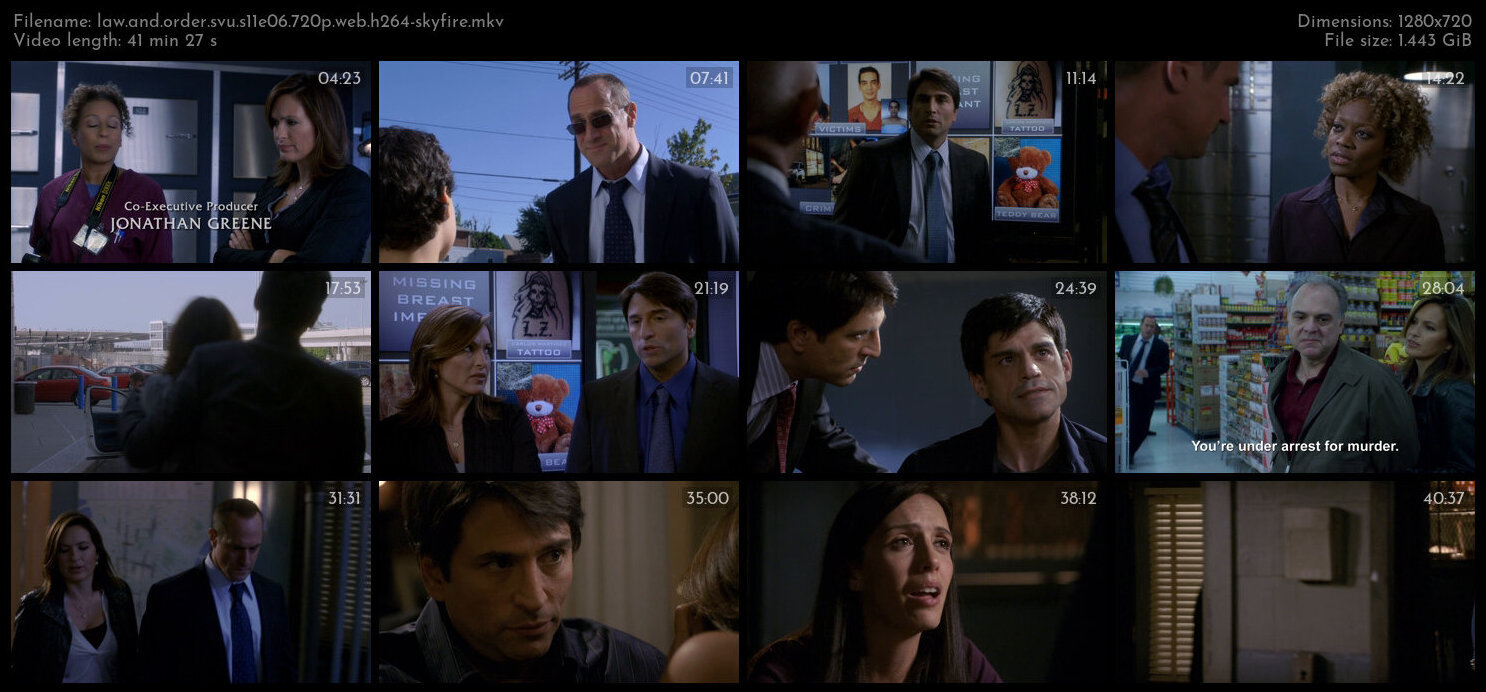 Law And Order SVU S11E06 720p WEB H264 SKYFiRE TGx