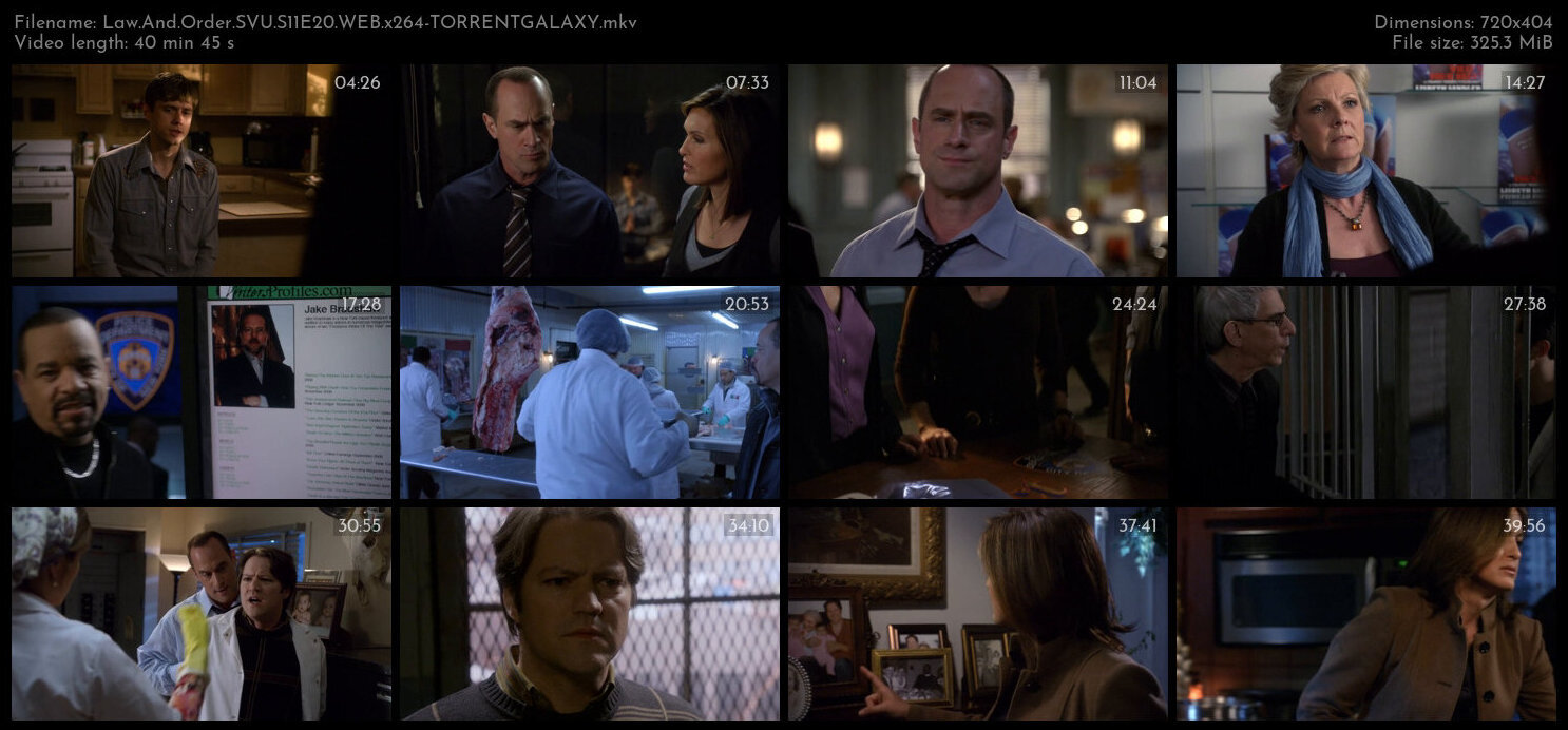 Law And Order SVU S11E20 WEB x264 TORRENTGALAXY