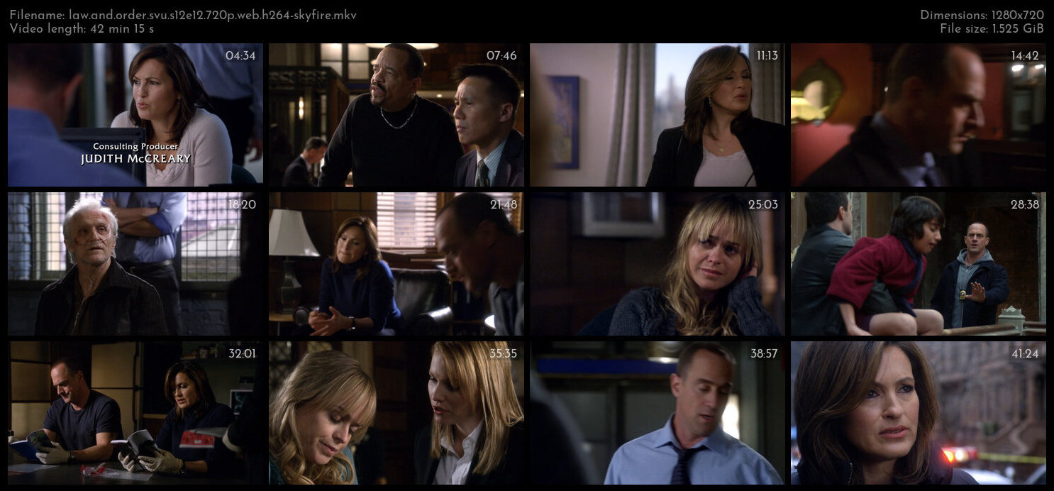 Law And Order SVU S12E12 720p WEB H264 SKYFiRE TGx