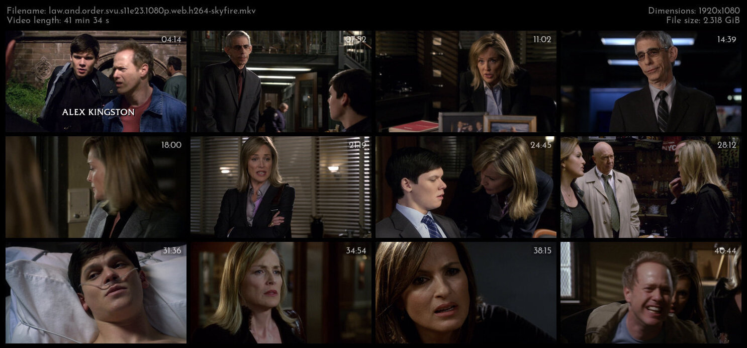 Law And Order SVU S11E23 1080p WEB H264 SKYFiRE TGx