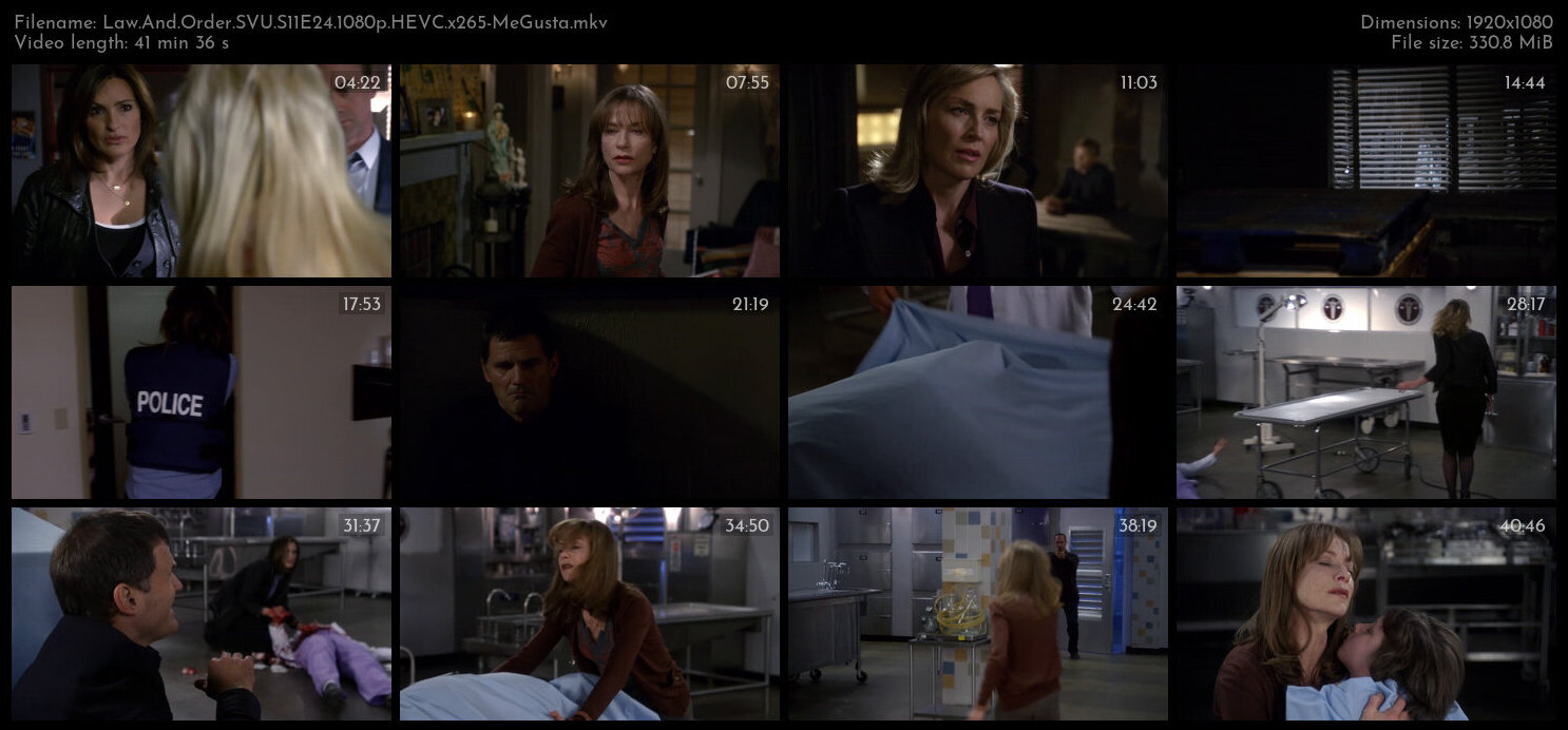 Law And Order SVU S11E24 1080p HEVC x265 MeGusta TGx