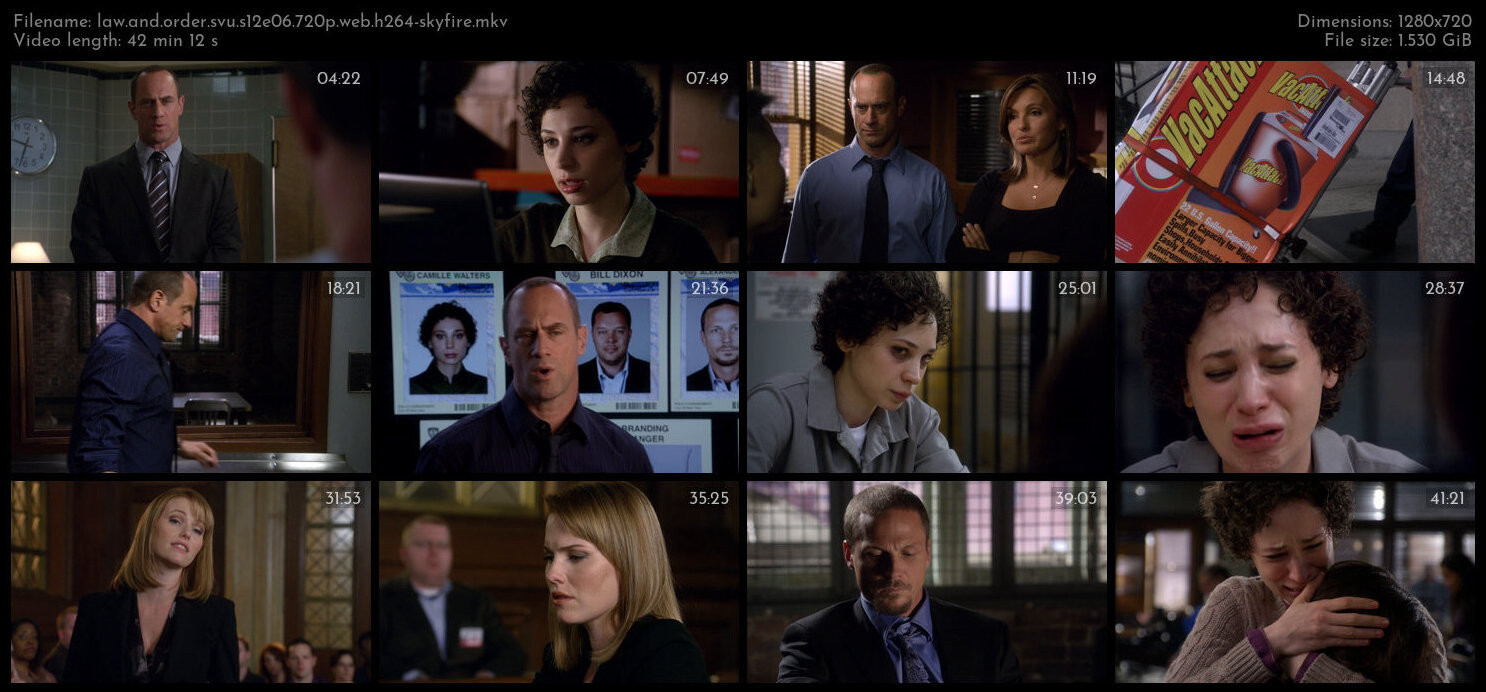 Law And Order SVU S12E06 720p WEB H264 SKYFiRE TGx