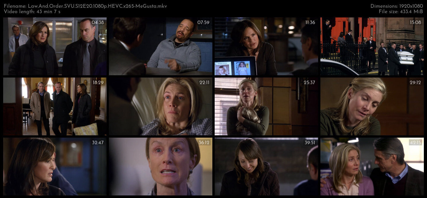 Law And Order SVU S12E20 1080p HEVC x265 MeGusta TGx