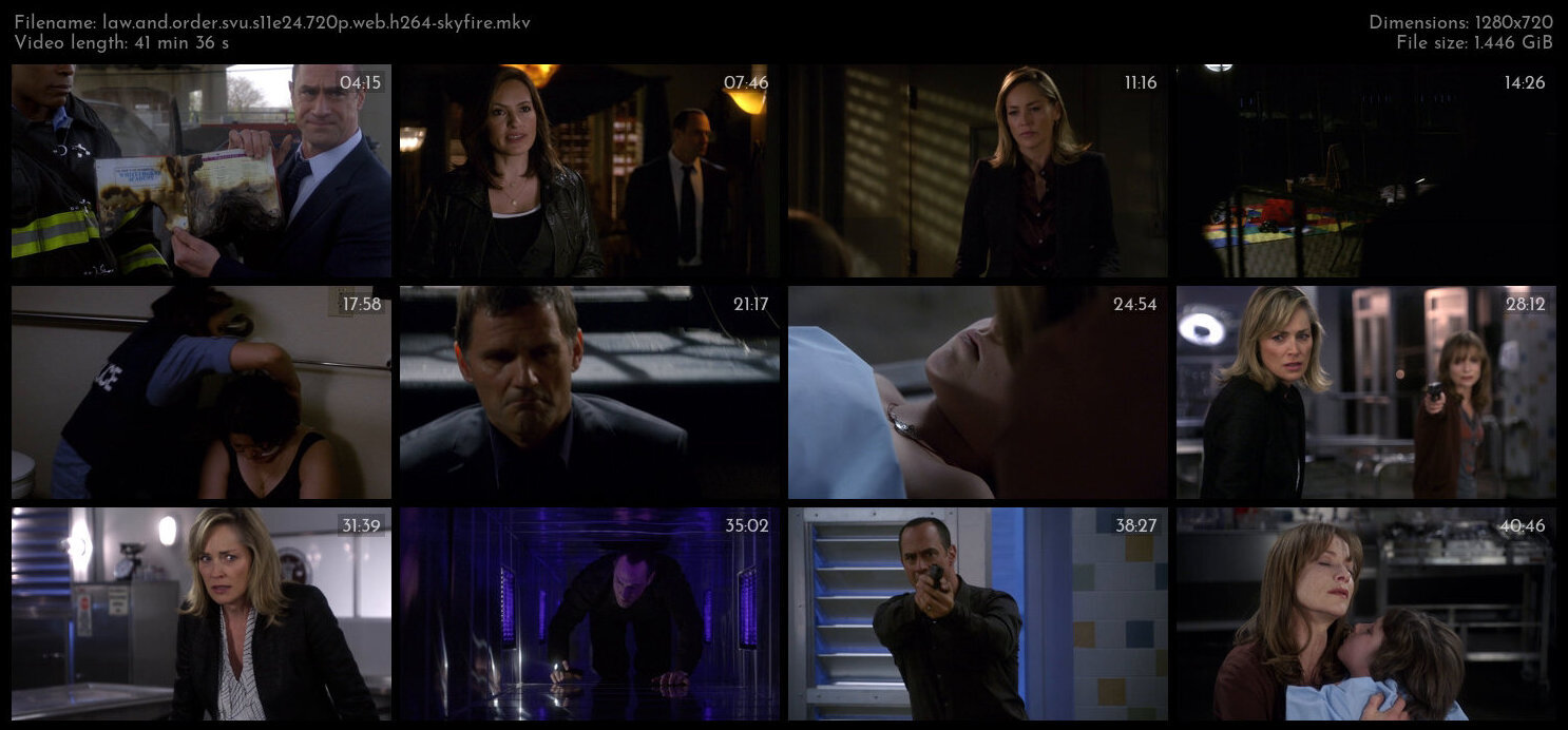 Law And Order SVU S11E24 720p WEB H264 SKYFiRE TGx