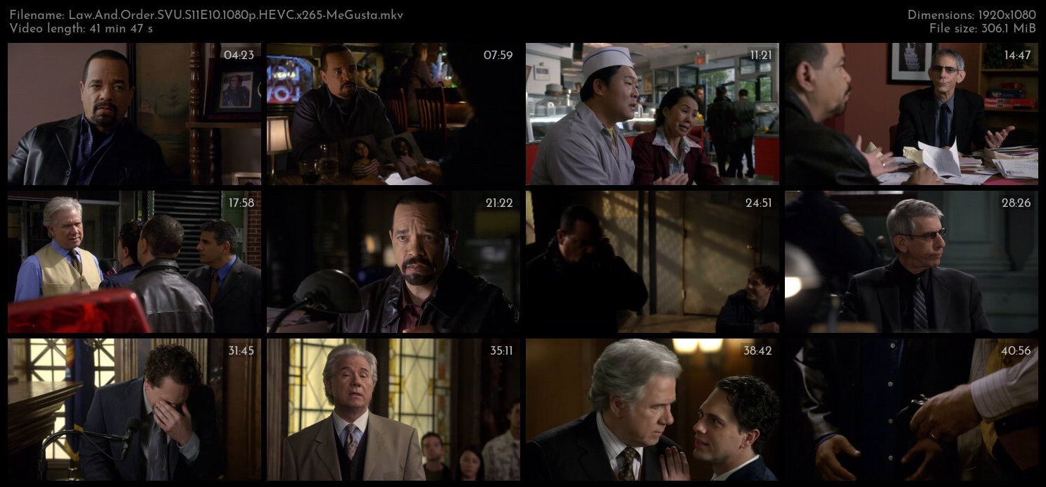 Law And Order SVU S11E10 1080p HEVC x265 MeGusta TGx