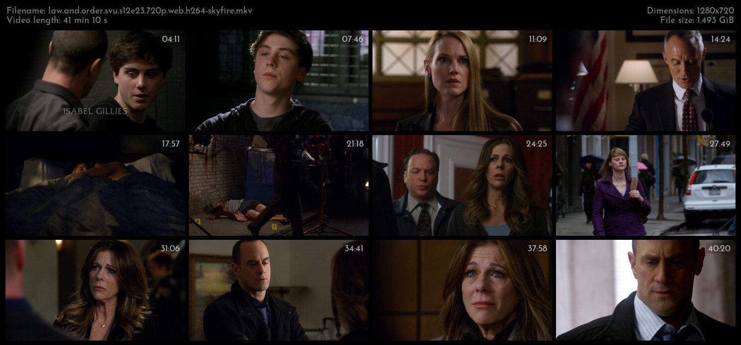 Law And Order SVU S12E23 720p WEB H264 SKYFiRE TGx