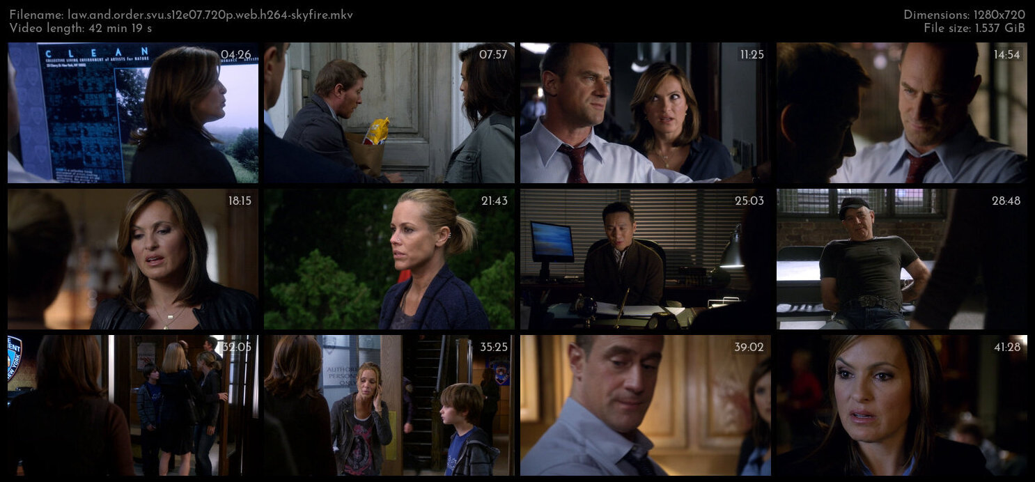 Law And Order SVU S12E07 720p WEB H264 SKYFiRE TGx