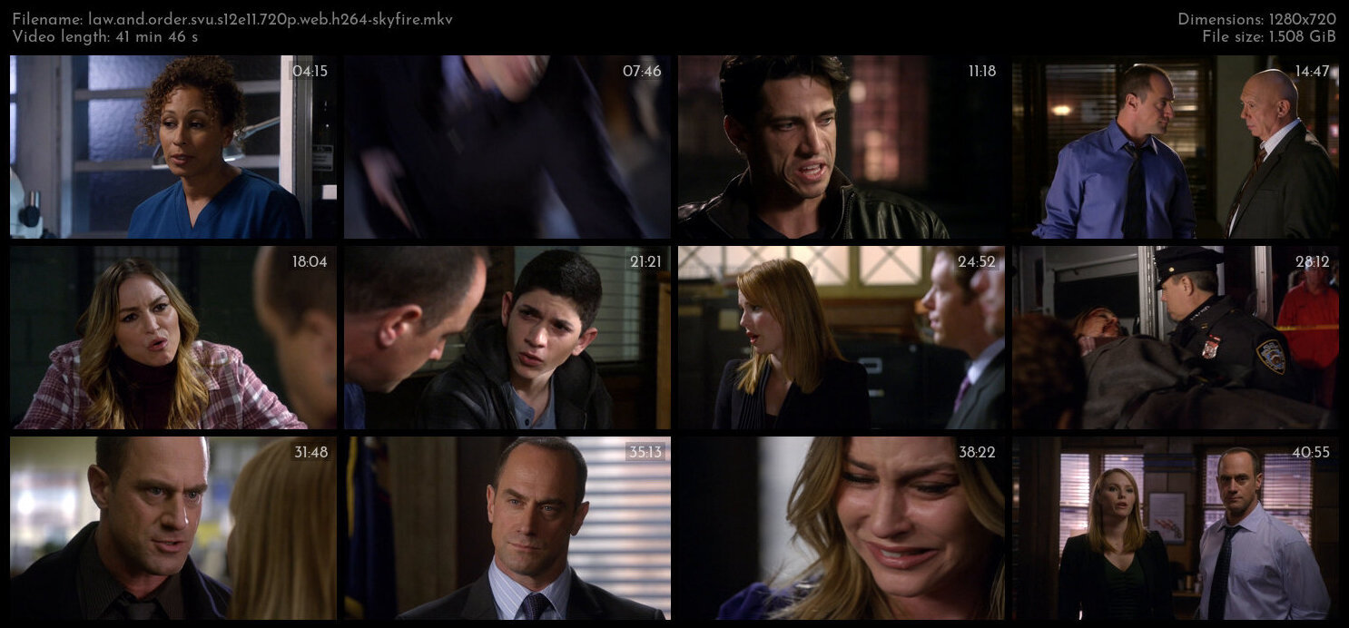 Law And Order SVU S12E11 720p WEB H264 SKYFiRE TGx