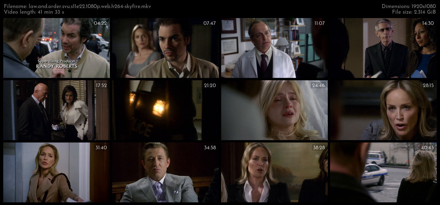 Law And Order SVU S11E22 1080p WEB H264 SKYFiRE TGx