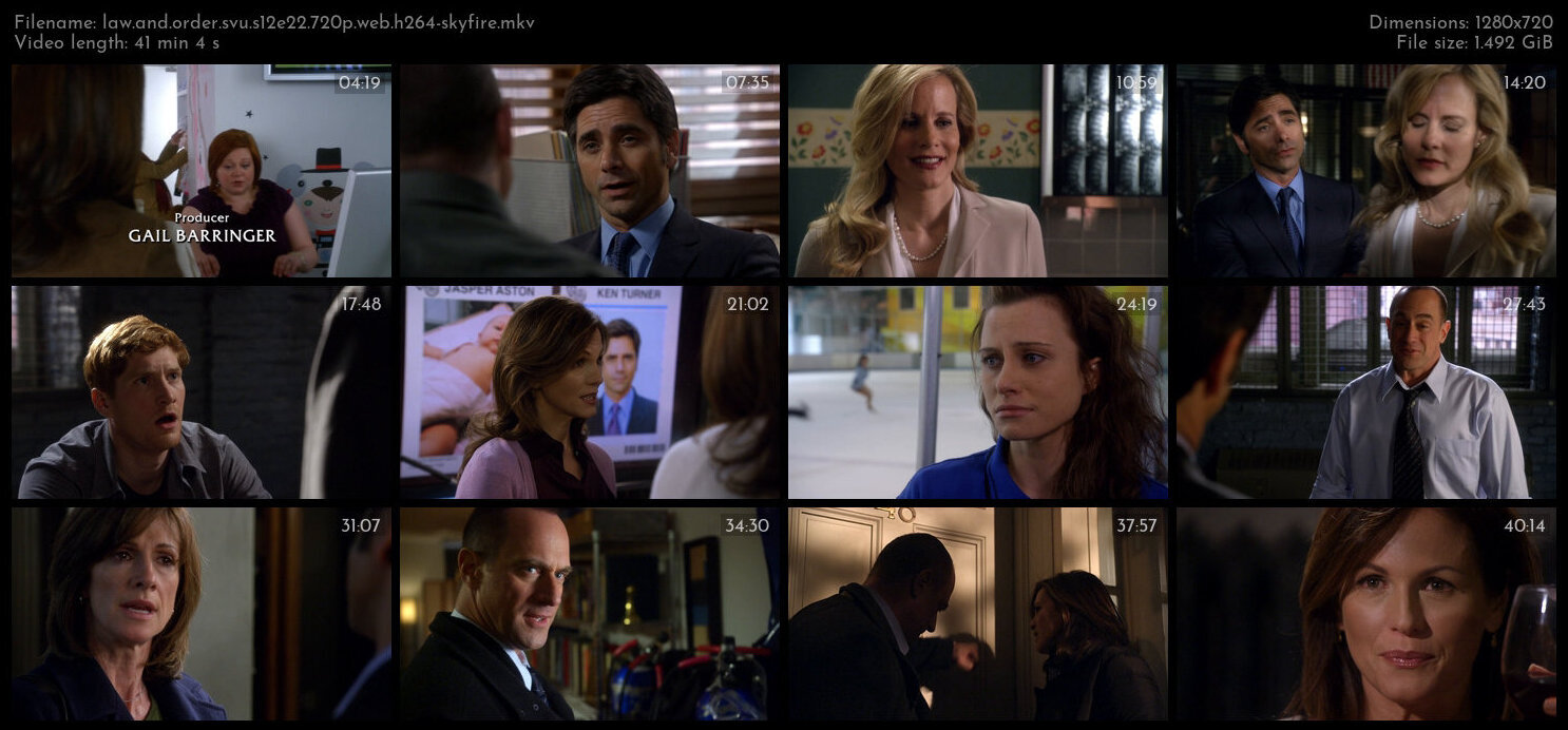 Law And Order SVU S12E22 720p WEB H264 SKYFiRE TGx