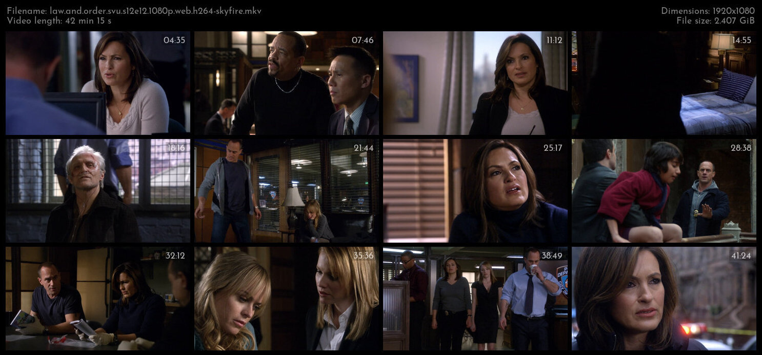 Law And Order SVU S12E12 1080p WEB H264 SKYFiRE TGx