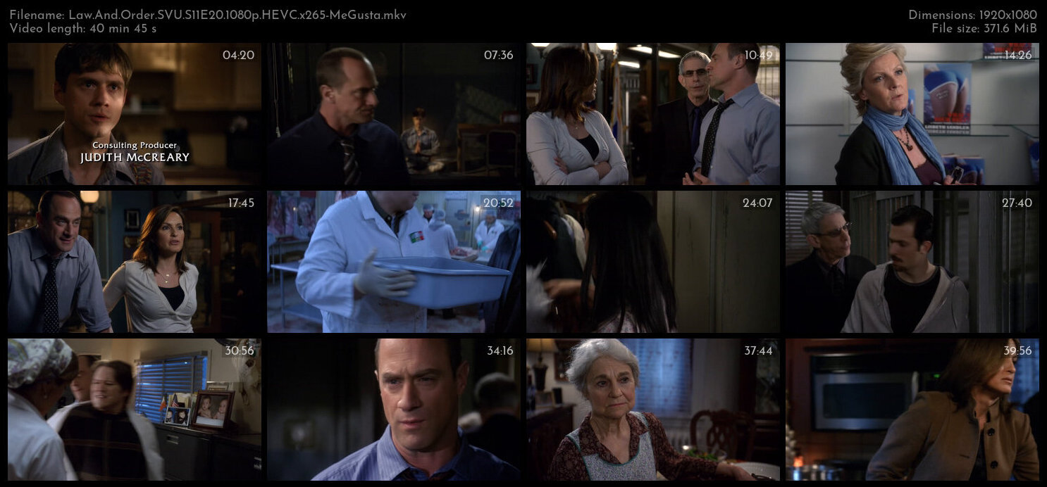 Law And Order SVU S11E20 1080p HEVC x265 MeGusta TGx