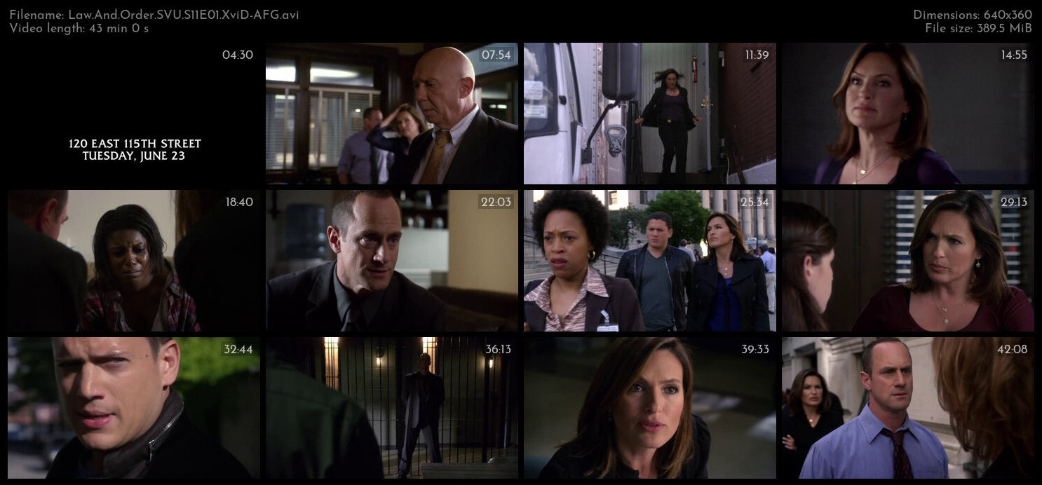 Law And Order SVU S11E01 XviD AFG TGx