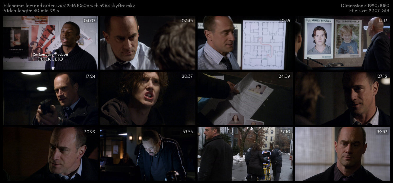 Law And Order SVU S12E16 1080p WEB H264 SKYFiRE TGx