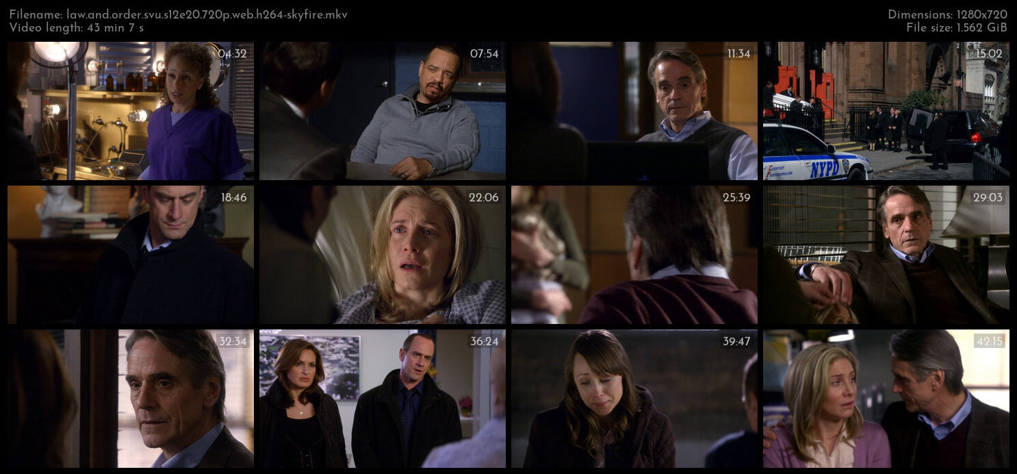 Law And Order SVU S12E20 720p WEB H264 SKYFiRE TGx