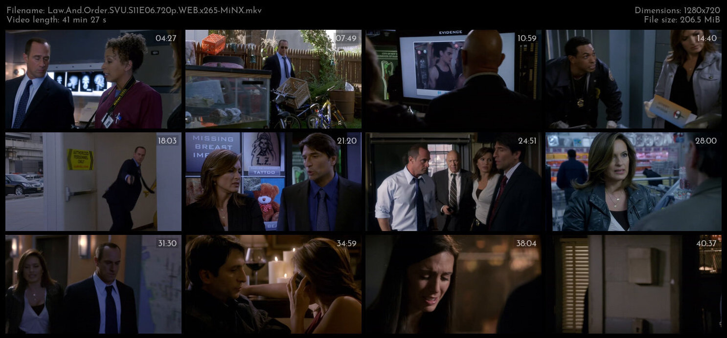 Law And Order SVU S11E06 720p WEB x265 MiNX TGx