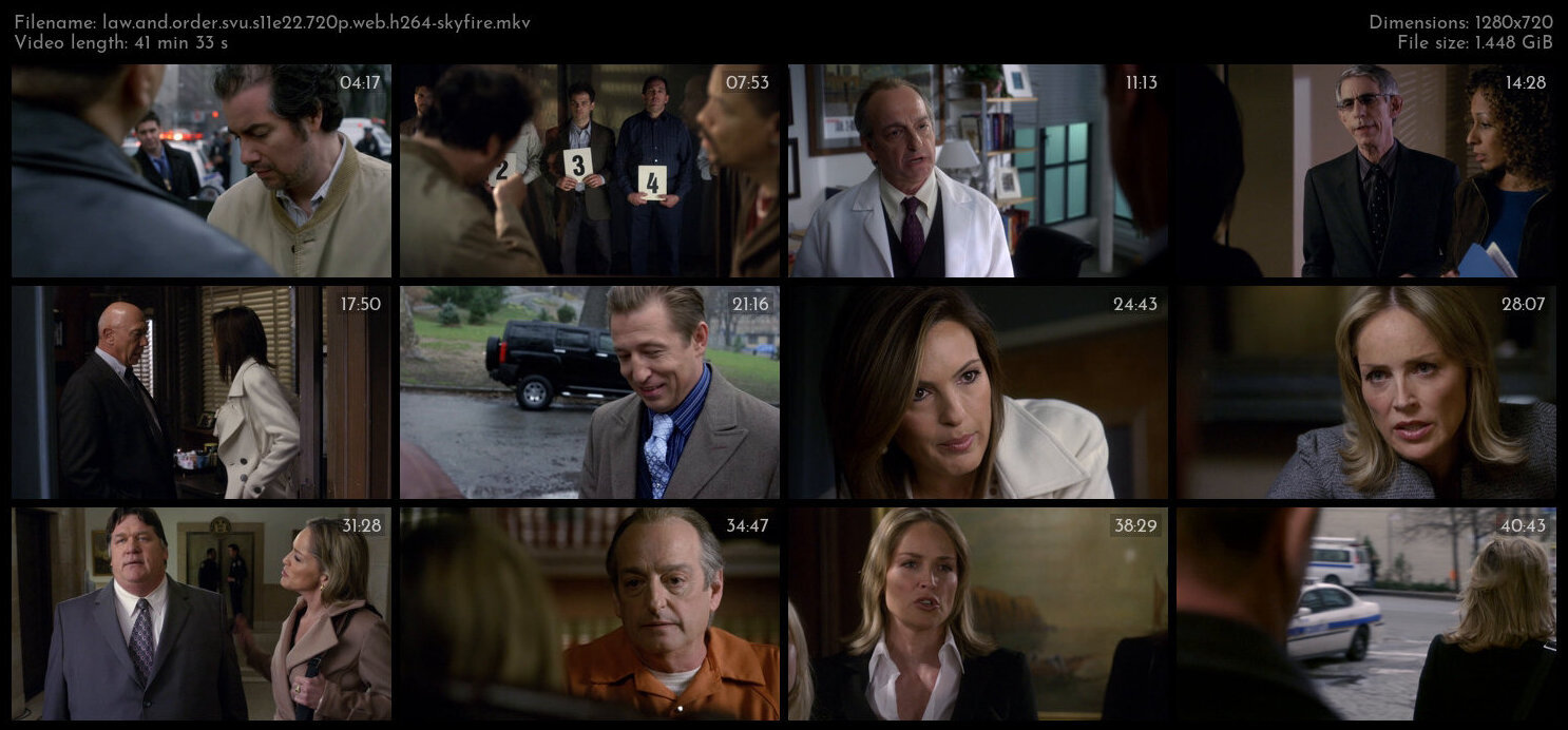 Law And Order SVU S11E22 720p WEB H264 SKYFiRE TGx