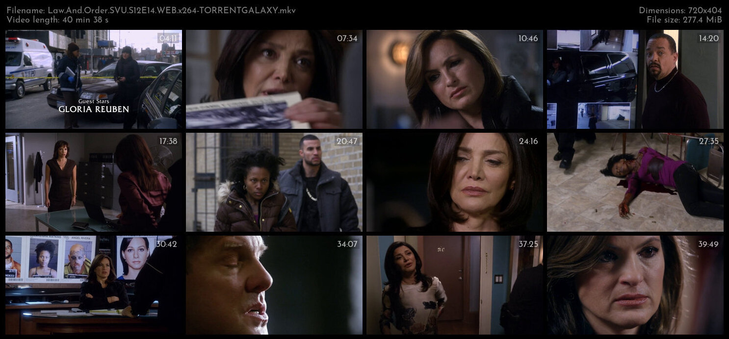 Law And Order SVU S12E14 WEB x264 TORRENTGALAXY