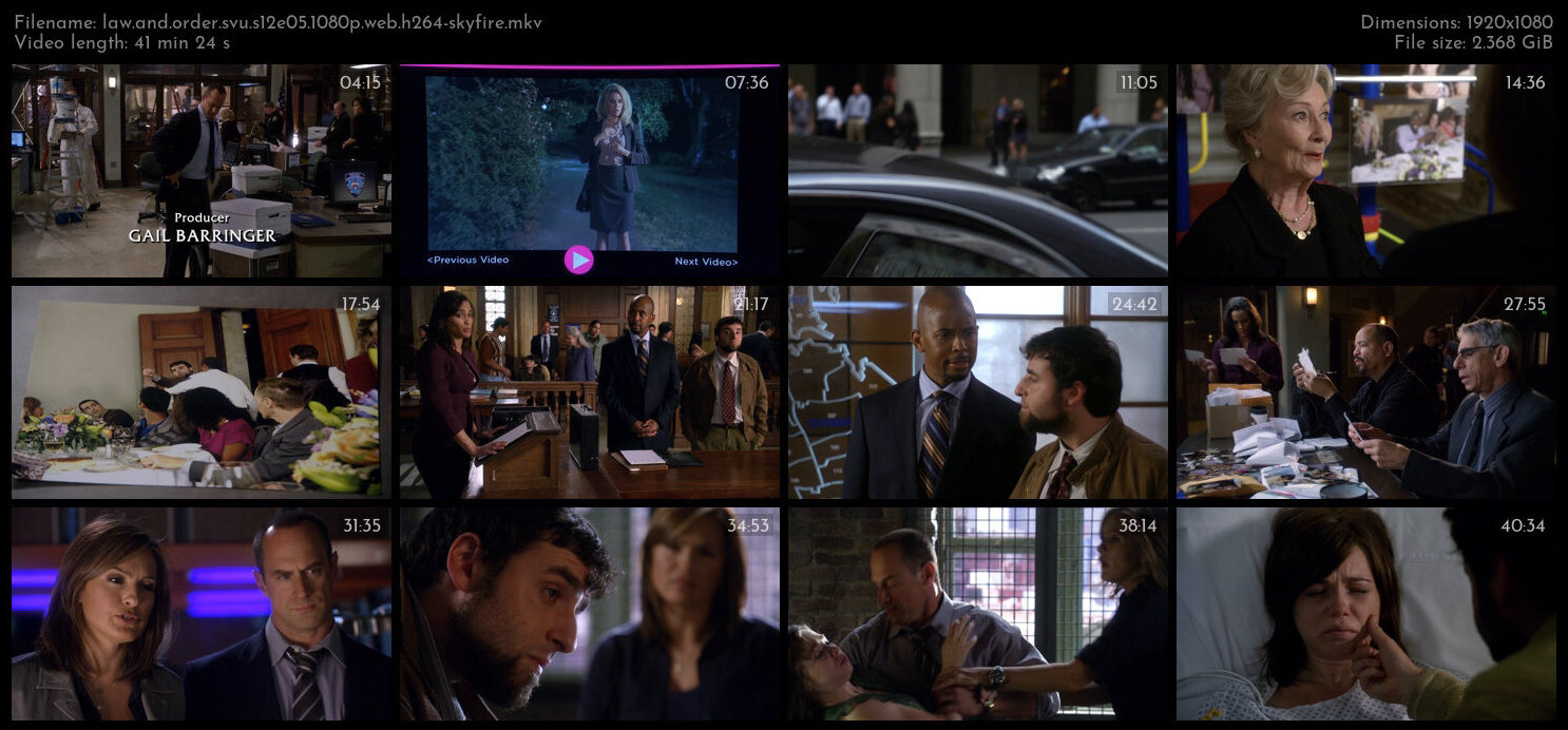 Law And Order SVU S12E05 1080p WEB H264 SKYFiRE TGx