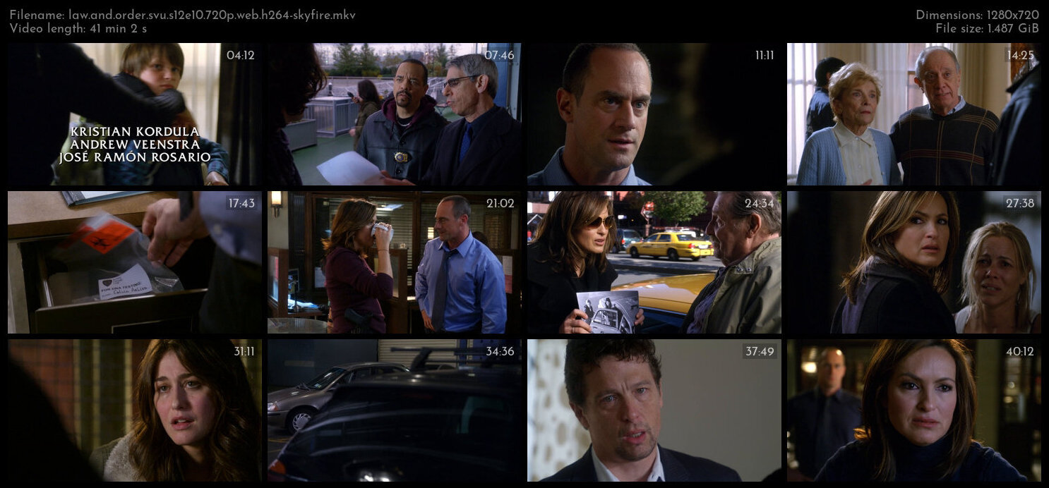 Law And Order SVU S12E10 720p WEB H264 SKYFiRE TGx