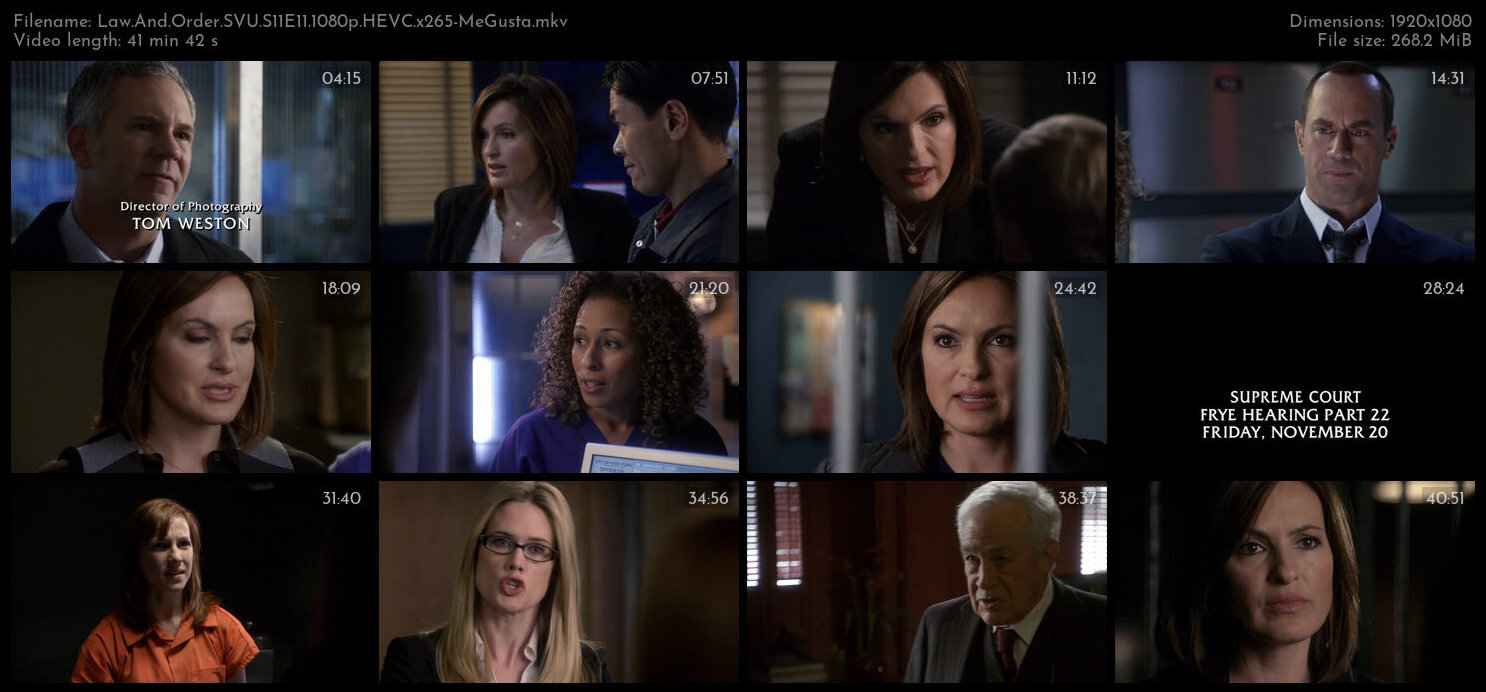 Law And Order SVU S11E11 1080p HEVC x265 MeGusta TGx