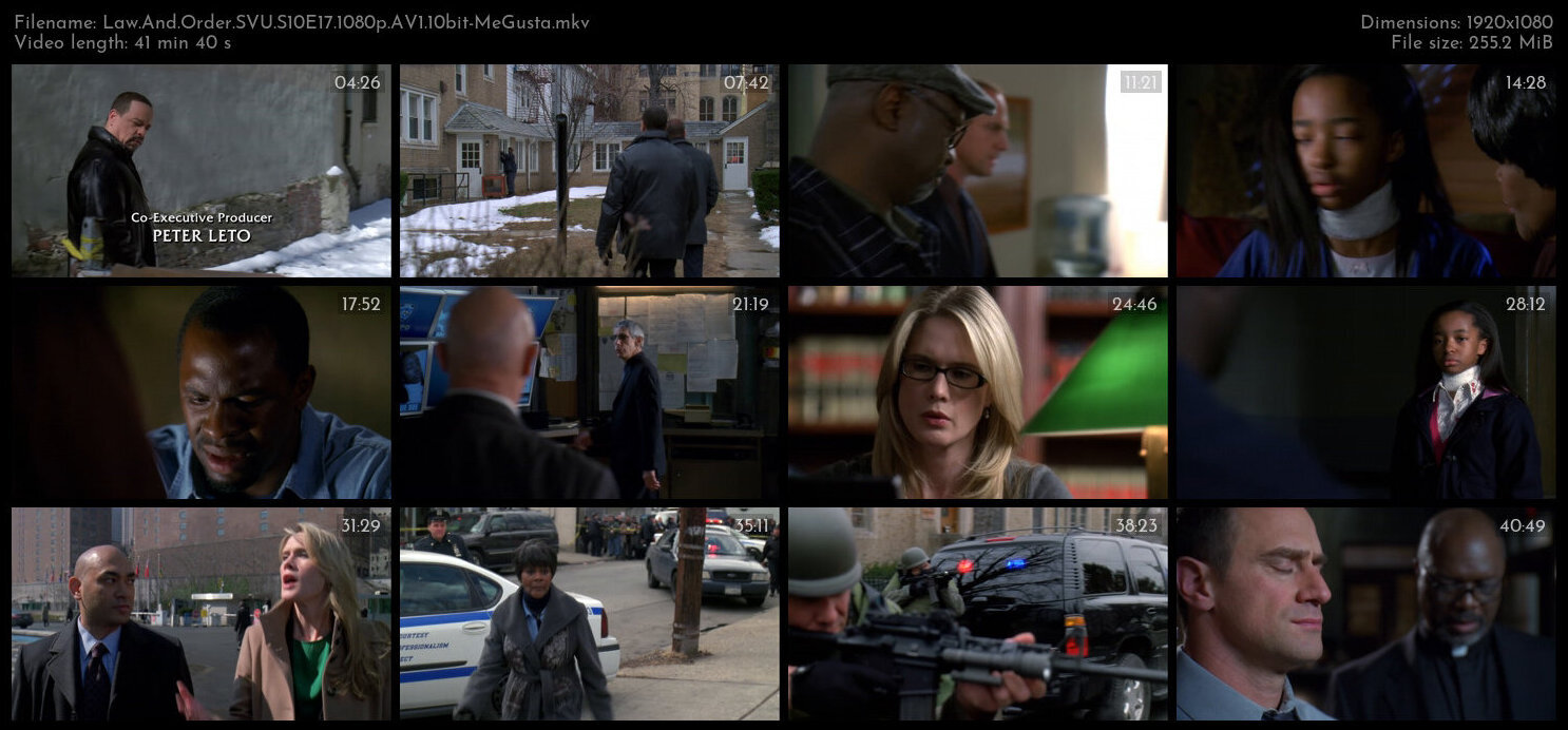 Law And Order SVU S10E17 1080p AV1 10bit MeGusta TGx